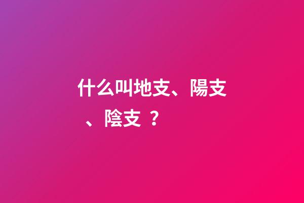 什么叫地支、陽支、陰支？
